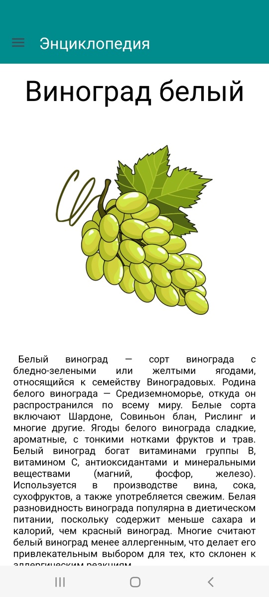 Энциклопедия 2