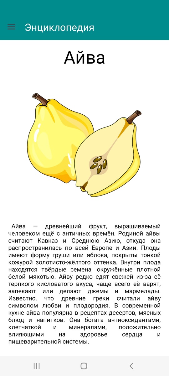 Энциклопедия 3